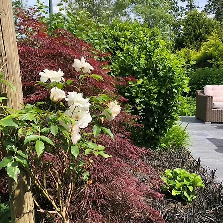 “het Zeepaard” * Voorthuizen