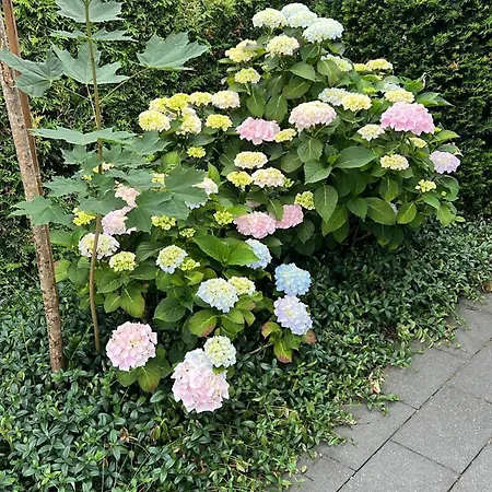 “het Zeepaard” Prázdninový areál