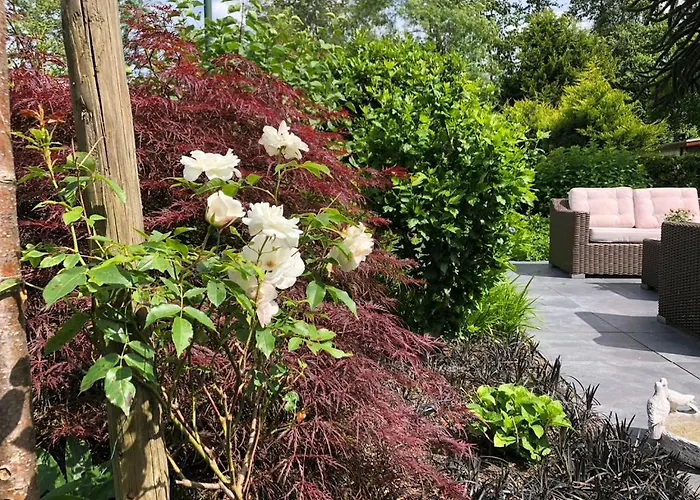 “het Zeepaard” * Voorthuizen