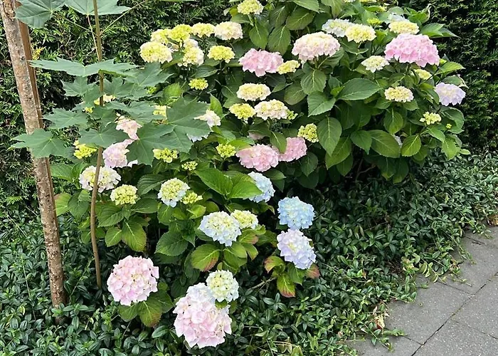 “het Zeepaard” Parque de vacaciones